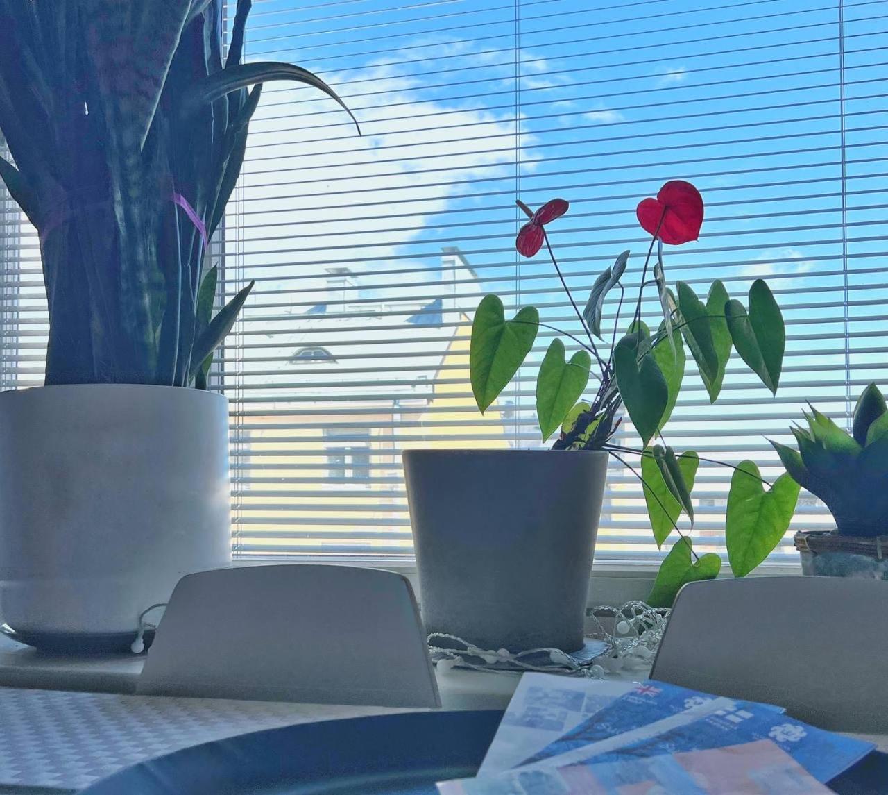 Scandinavian Desing 37 Center In Kamppi Leilighet *